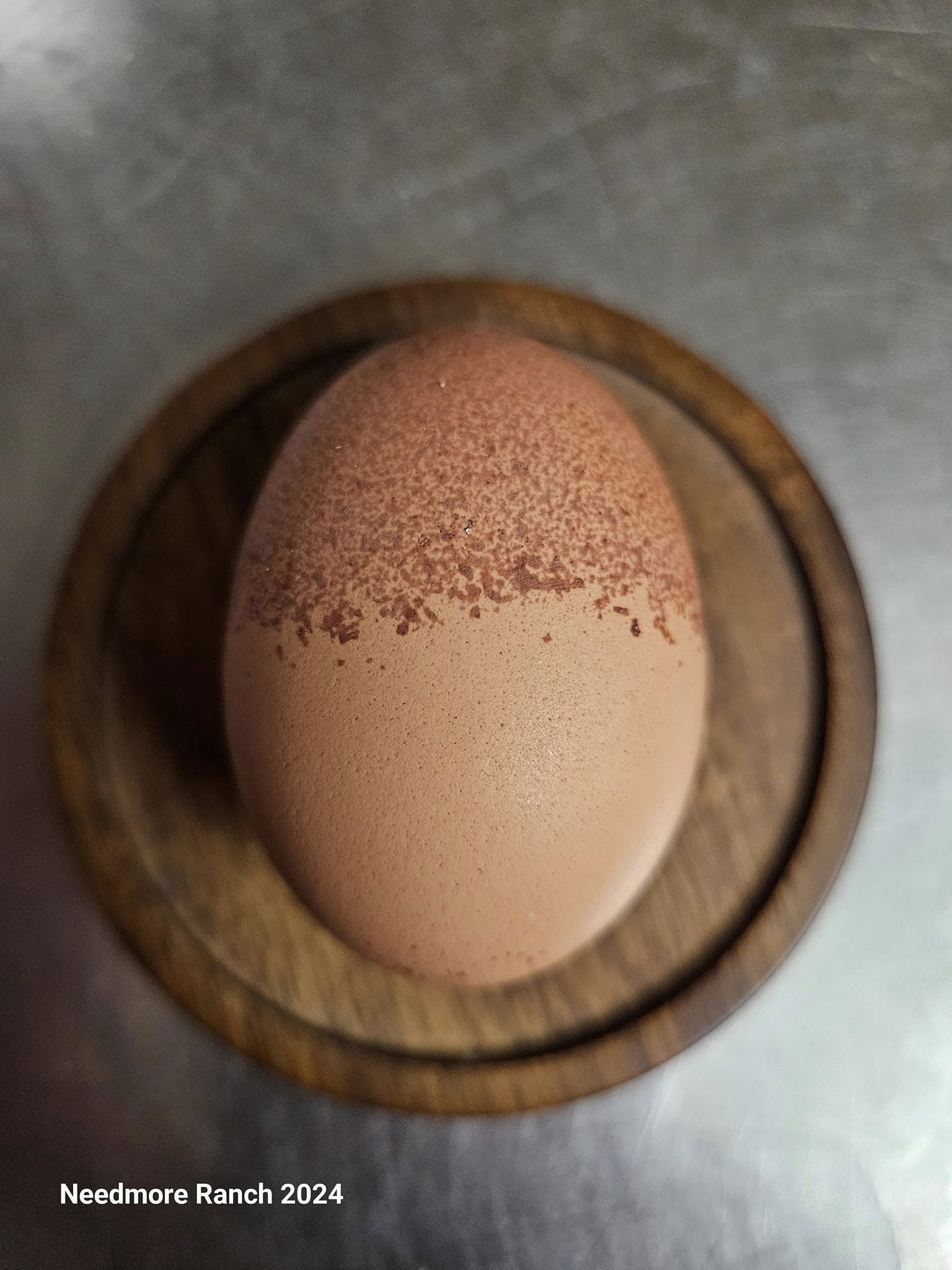 Egg